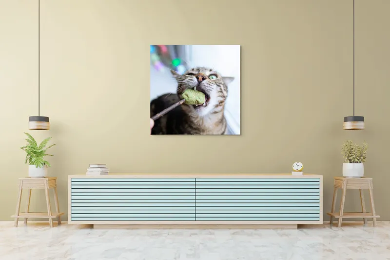 Tablou Canvas, "Pisica savurând o gustare delicioasă", Pisică, Curioasă, Pofticioasă, Delicioasă, Verde, Luminoasă, Jucăușă, Fermoar, Dinamică, Amuzantă, 100 x 100 cm – poza 5