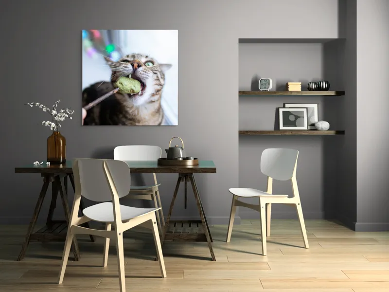 Tablou Canvas, "Pisica savurând o gustare delicioasă", Pisică, Curioasă, Pofticioasă, Delicioasă, Verde, Luminoasă, Jucăușă, Fermoar, Dinamică, Amuzantă, 100 x 100 cm – poza 6