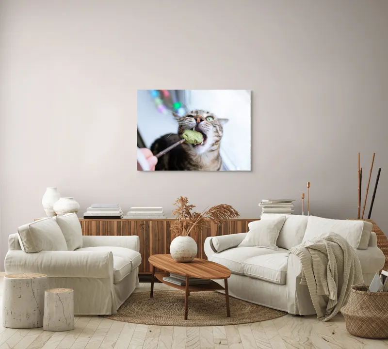 Tablou Canvas, "Pisica savurând o gustare delicioasă", Pisică, Curioasă, Pofticioasă, Delicioasă, Verde, Luminoasă, Jucăușă, Fermoar, Dinamică, Amuzantă, 100 x 70 cm – poza 3