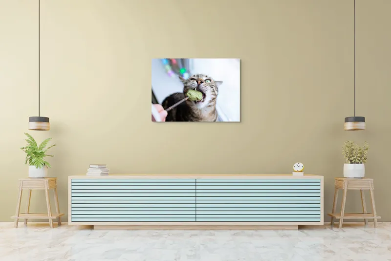 Tablou Canvas, "Pisica savurând o gustare delicioasă", Pisică, Curioasă, Pofticioasă, Delicioasă, Verde, Luminoasă, Jucăușă, Fermoar, Dinamică, Amuzantă, 100 x 70 cm – poza 4