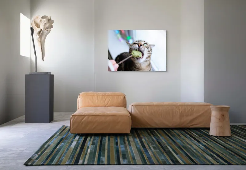 Tablou Canvas, "Pisica savurând o gustare delicioasă", Pisică, Curioasă, Pofticioasă, Delicioasă, Verde, Luminoasă, Jucăușă, Fermoar, Dinamică, Amuzantă, 100 x 70 cm – poza 7