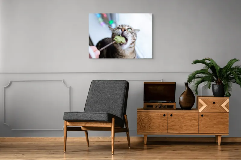 Tablou Canvas, "Pisica savurând o gustare delicioasă", Pisică, Curioasă, Pofticioasă, Delicioasă, Verde, Luminoasă, Jucăușă, Fermoar, Dinamică, Amuzantă, 100 x 70 cm – poza 8