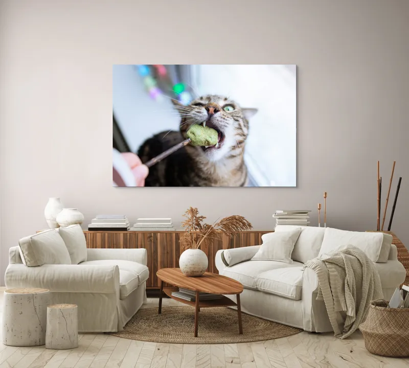 Tablou Canvas, "Pisica savurând o gustare delicioasă", Pisică, Curioasă, Pofticioasă, Delicioasă, Verde, Luminoasă, Jucăușă, Fermoar, Dinamică, Amuzantă, 150 x 100 cm – poza 3