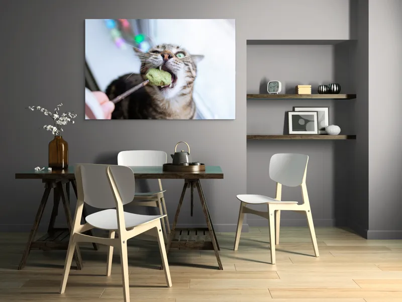 Tablou Canvas, "Pisica savurând o gustare delicioasă", Pisică, Curioasă, Pofticioasă, Delicioasă, Verde, Luminoasă, Jucăușă, Fermoar, Dinamică, Amuzantă, 150 x 100 cm – poza 5