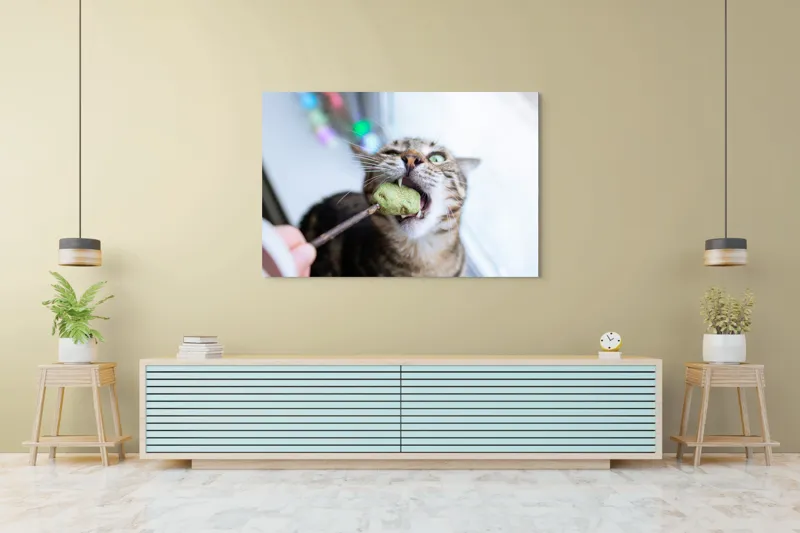 Tablou Canvas, "Pisica savurând o gustare delicioasă", Pisică, Curioasă, Pofticioasă, Delicioasă, Verde, Luminoasă, Jucăușă, Fermoar, Dinamică, Amuzantă, 150 x 100 cm – poza 6