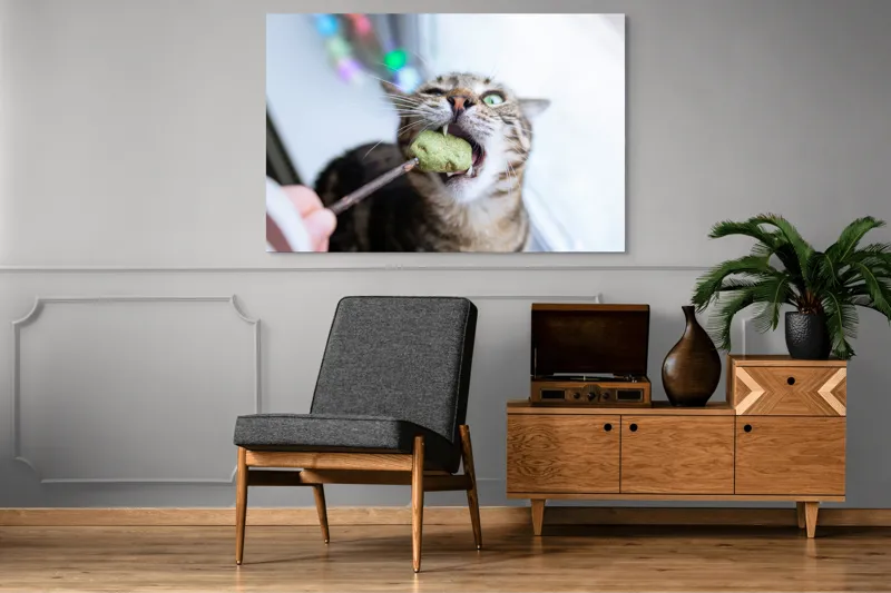 Tablou Canvas, "Pisica savurând o gustare delicioasă", Pisică, Curioasă, Pofticioasă, Delicioasă, Verde, Luminoasă, Jucăușă, Fermoar, Dinamică, Amuzantă, 150 x 100 cm – poza 8