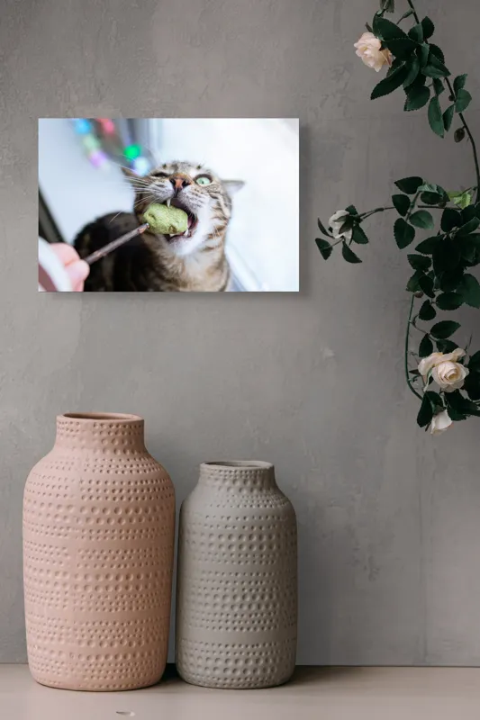 Tablou Canvas, "Pisica savurând o gustare delicioasă", Pisică, Curioasă, Pofticioasă, Delicioasă, Verde, Luminoasă, Jucăușă, Fermoar, Dinamică, Amuzantă, 39 x 26 cm – poza 4
