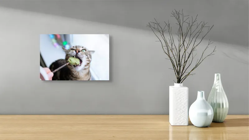Tablou Canvas, "Pisica savurând o gustare delicioasă", Pisică, Curioasă, Pofticioasă, Delicioasă, Verde, Luminoasă, Jucăușă, Fermoar, Dinamică, Amuzantă, 39 x 26 cm – poza 8