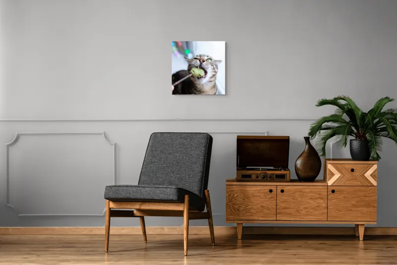 Tablou Canvas, "Pisica savurând o gustare delicioasă", Pisică, Curioasă, Pofticioasă, Delicioasă, Verde, Luminoasă, Jucăușă, Fermoar, Dinamică, Amuzantă, 50 x 50 cm – poza 6