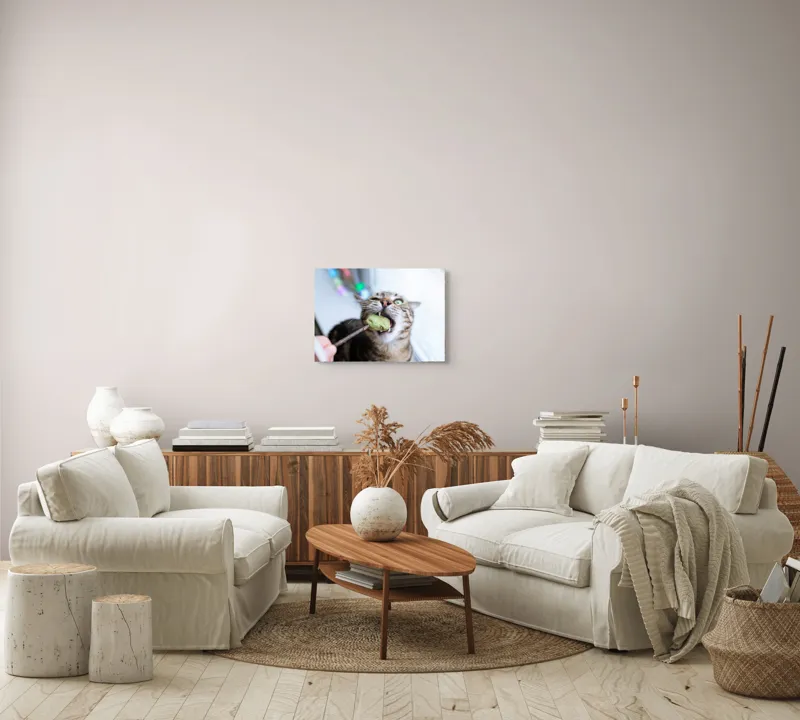 Tablou Canvas, "Pisica savurând o gustare delicioasă", Pisică, Curioasă, Pofticioasă, Delicioasă, Verde, Luminoasă, Jucăușă, Fermoar, Dinamică, Amuzantă, 54 x 39 cm – poza 5
