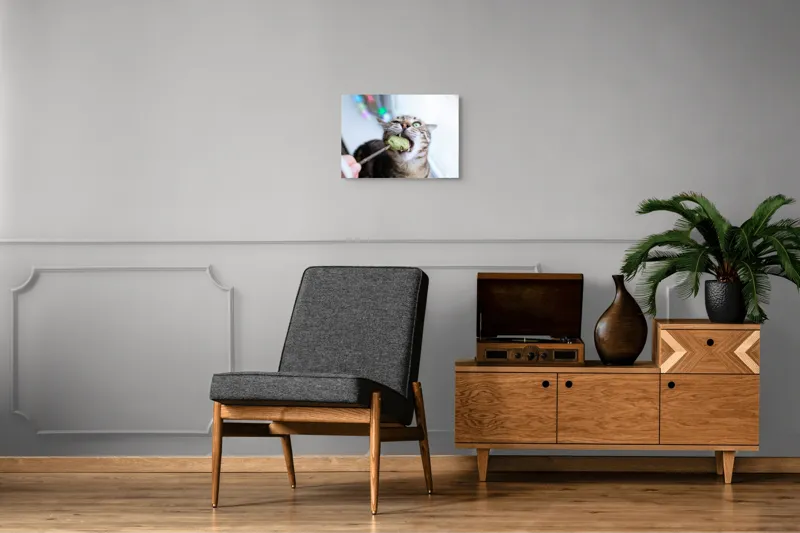 Tablou Canvas, "Pisica savurând o gustare delicioasă", Pisică, Curioasă, Pofticioasă, Delicioasă, Verde, Luminoasă, Jucăușă, Fermoar, Dinamică, Amuzantă, 54 x 39 cm – poza 7