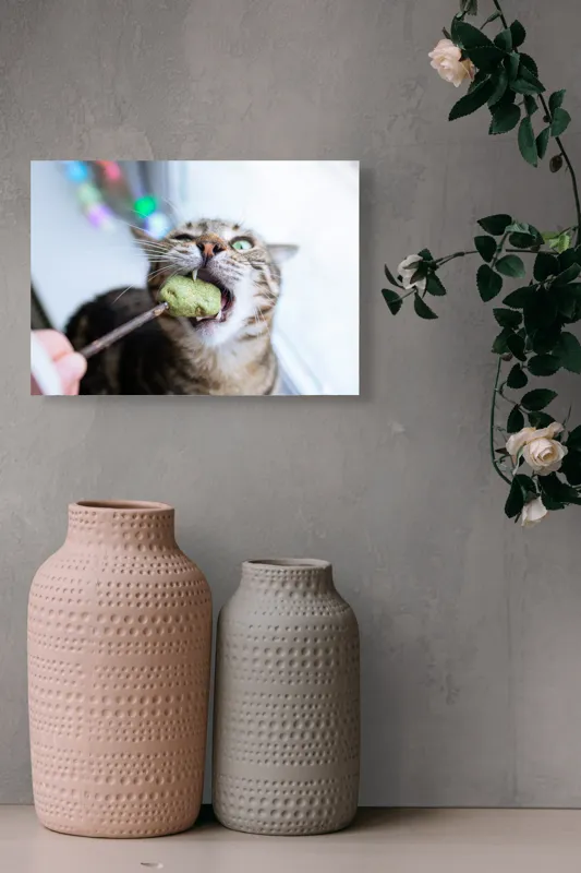 Tablou Canvas, "Pisica savurând o gustare delicioasă", Pisică, Curioasă, Pofticioasă, Delicioasă, Verde, Luminoasă, Jucăușă, Fermoar, Dinamică, Amuzantă, 54 x 39 cm – poza 8