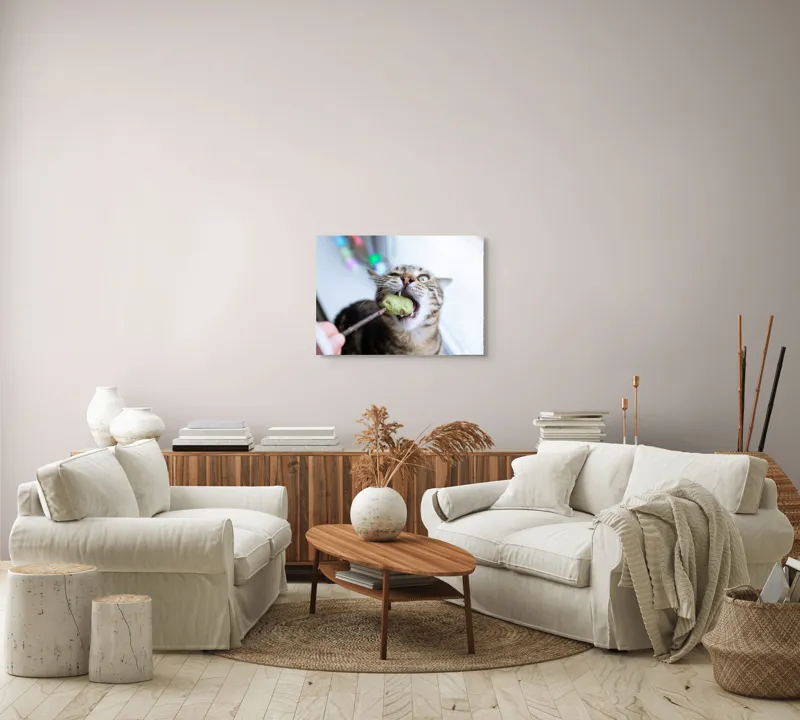 Tablou Canvas, "Pisica savurând o gustare delicioasă", Pisică, Curioasă, Pofticioasă, Delicioasă, Verde, Luminoasă, Jucăușă, Fermoar, Dinamică, Amuzantă, 70 x 50 cm – poza 6