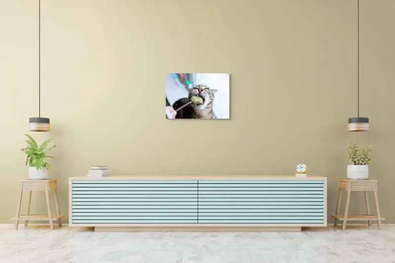 Tablou Canvas, "Pisica savurând o gustare delicioasă", Pisică, Curioasă, Pofticioasă, Delicioasă, Verde, Luminoasă, Jucăușă, Fermoar, Dinamică, Amuzantă, 70 x 50 cm – poza 7