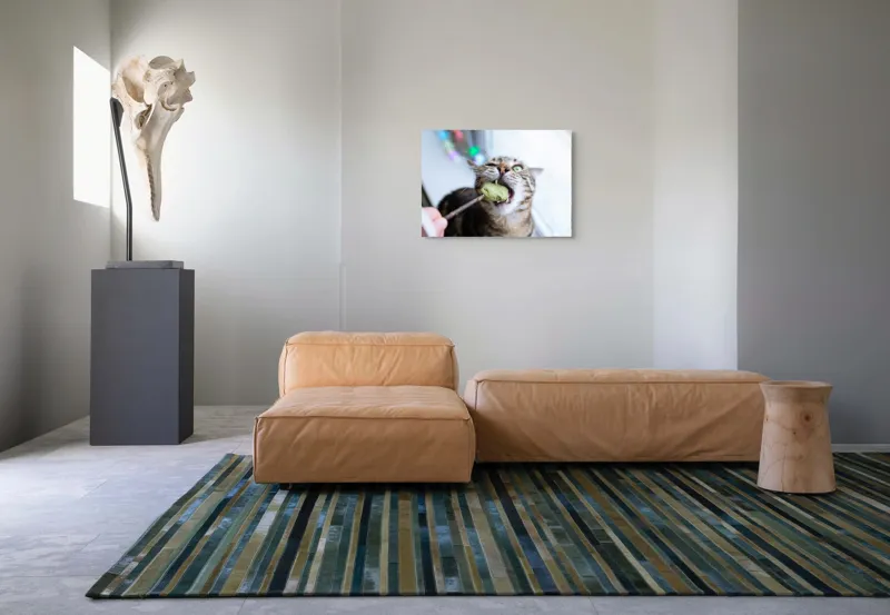 Tablou Canvas, "Pisica savurând o gustare delicioasă", Pisică, Curioasă, Pofticioasă, Delicioasă, Verde, Luminoasă, Jucăușă, Fermoar, Dinamică, Amuzantă, 70 x 50 cm – poza 8