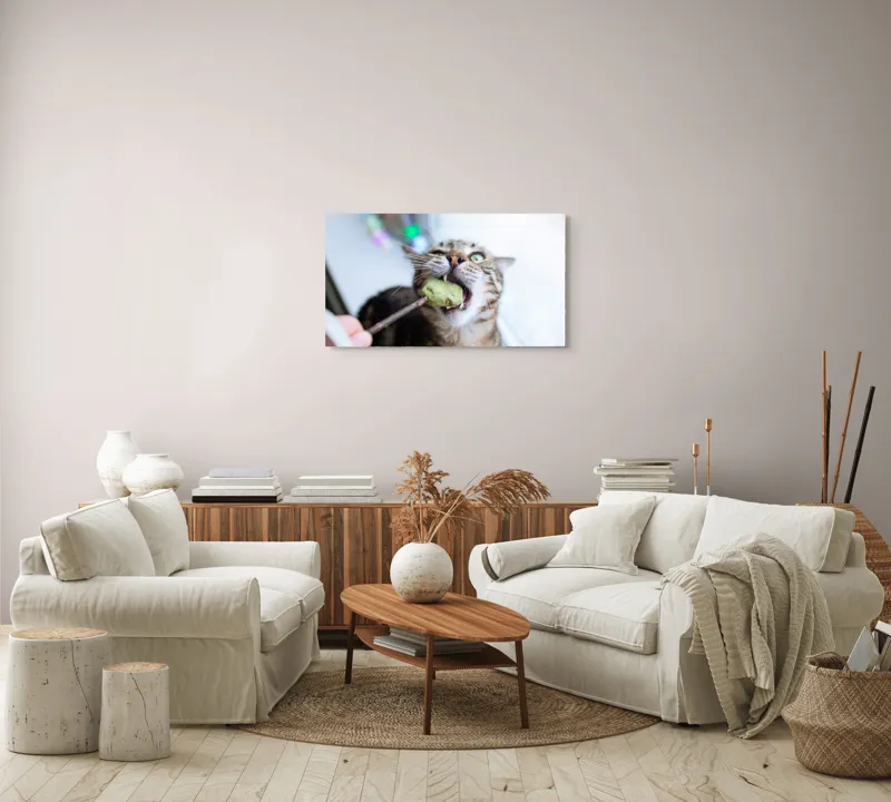 Tablou Canvas, "Pisica savurând o gustare delicioasă", Pisică, Curioasă, Pofticioasă, Delicioasă, Verde, Luminoasă, Jucăușă, Fermoar, Dinamică, Amuzantă, 90 x 50 cm – poza 4