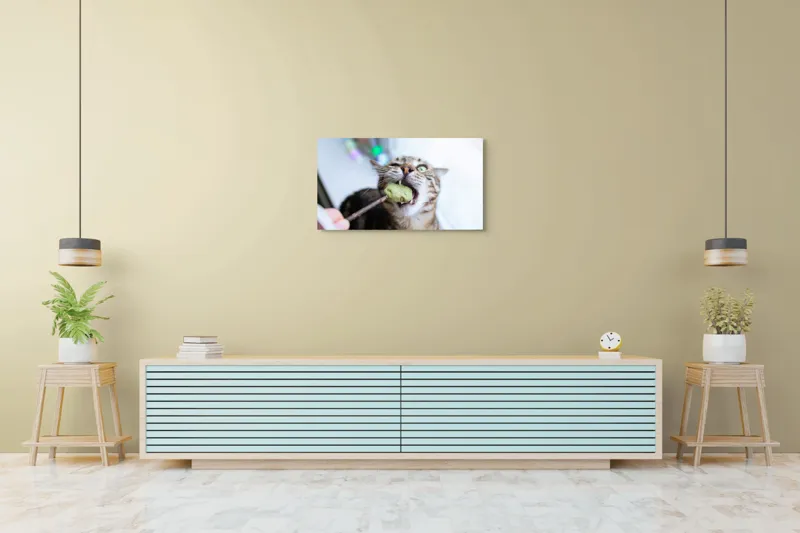 Tablou Canvas, "Pisica savurând o gustare delicioasă", Pisică, Curioasă, Pofticioasă, Delicioasă, Verde, Luminoasă, Jucăușă, Fermoar, Dinamică, Amuzantă, 90 x 50 cm – poza 5