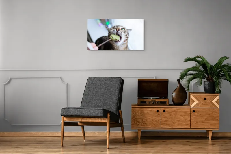 Tablou Canvas, "Pisica savurând o gustare delicioasă", Pisică, Curioasă, Pofticioasă, Delicioasă, Verde, Luminoasă, Jucăușă, Fermoar, Dinamică, Amuzantă, 90 x 50 cm – poza 6