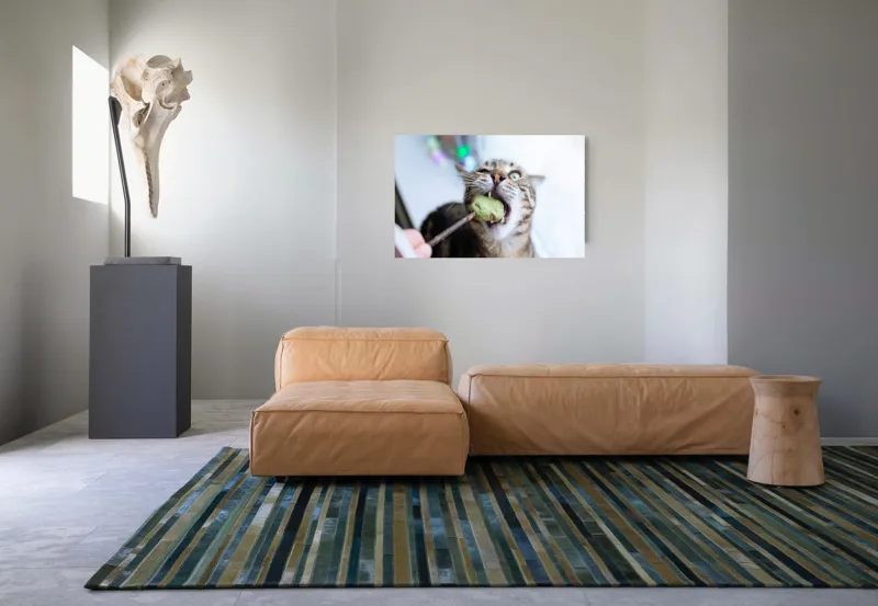 Tablou Canvas, "Pisica savurând o gustare delicioasă", Pisică, Curioasă, Pofticioasă, Delicioasă, Verde, Luminoasă, Jucăușă, Fermoar, Dinamică, Amuzantă, 90 x 50 cm – poza 8