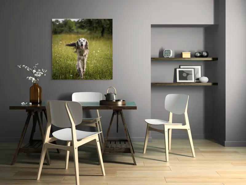 Tablou Canvas, "Câine fericit alergând pe câmp verde", 100 x 100 cm – poza 6