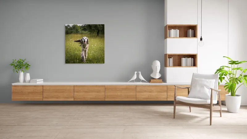 Tablou Canvas, "Câine fericit alergând pe câmp verde", 100 x 100 cm – poza 8
