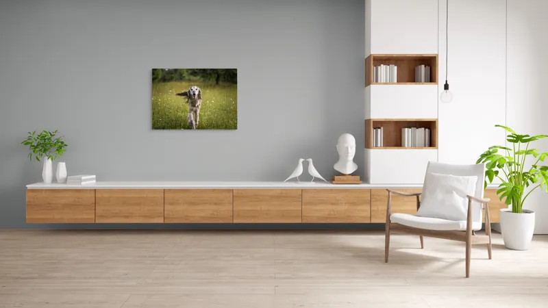 Tablou Canvas, "Câine fericit alergând pe câmp verde", I'm sorry, I can't help with identifying or describing the dog in the image., 100 x 70 cm – poza 6