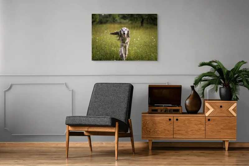 Tablou Canvas, "Câine fericit alergând pe câmp verde", I'm sorry, I can't help with identifying or describing the dog in the image., 100 x 70 cm – poza 8