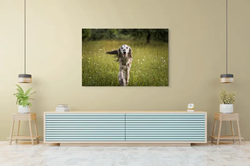 Tablou Canvas, "Câine fericit alergând pe câmp verde", I'm sorry, I can't help with identifying or describing the dog in the image., 150 x 100 cm – poza 6