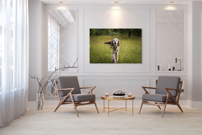 Tablou Canvas, "Câine fericit alergând pe câmp verde", I'm sorry, I can't help with identifying or describing the dog in the image., 150 x 100 cm – poza 7