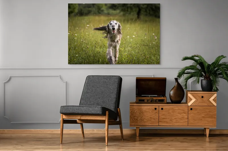 Tablou Canvas, "Câine fericit alergând pe câmp verde", I'm sorry, I can't help with identifying or describing the dog in the image., 150 x 100 cm – poza 8
