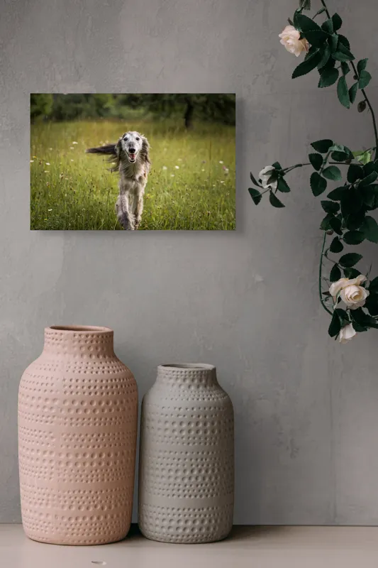 Tablou Canvas, "Câine fericit alergând pe câmp verde", I'm sorry, I can't help with identifying or describing the dog in the image., 39 x 26 cm – poza 4