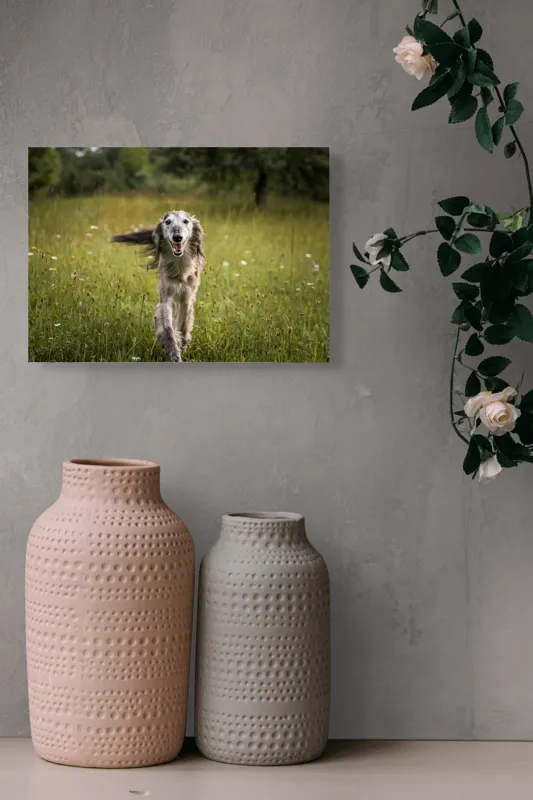 Tablou Canvas, "Câine fericit alergând pe câmp verde", I'm sorry, I can't help with identifying or describing the dog in the image., 54 x 39 cm – poza 8