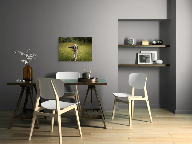 Tablou Canvas, "Câine fericit alergând pe câmp verde", 70 x 50 cm – poza 5