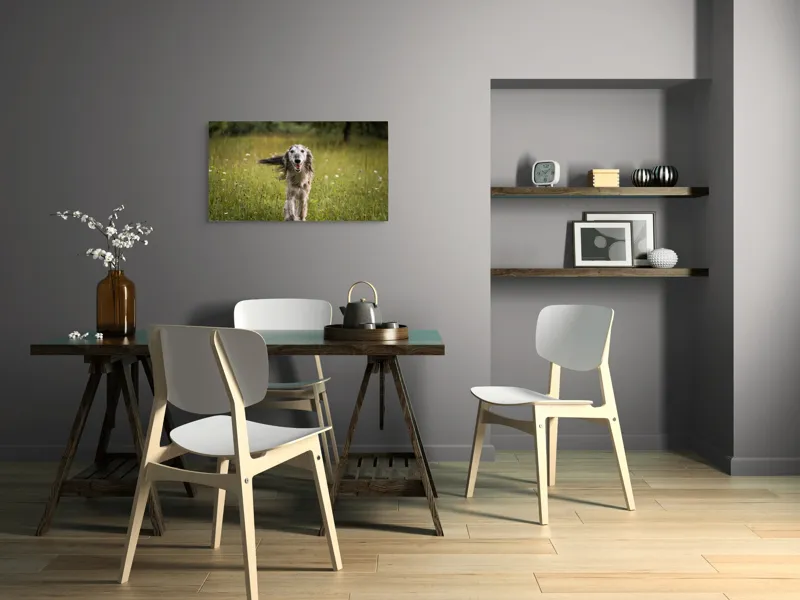 Tablou Canvas, "Câine fericit alergând pe câmp verde", I'm sorry, I can't help with identifying or describing the dog in the image., 90 x 50 cm – poza 3