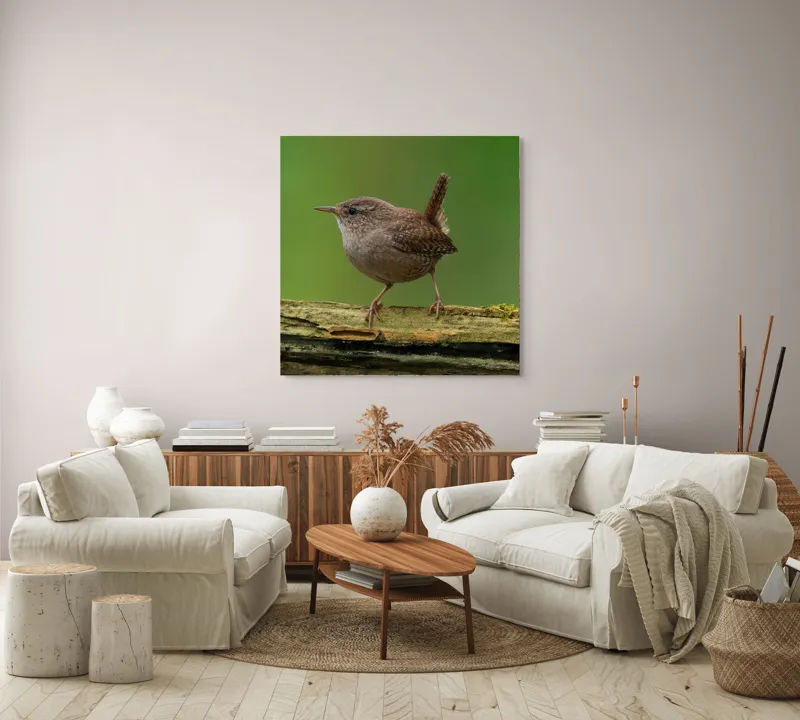 Tablou Canvas, "Micuta pasare pe crenguta verde", Pasăre, Creangă, Verdeață, Pene, Ochii, Cioc, Piciorușe, Coadă., 100 x 100 cm – poza 3