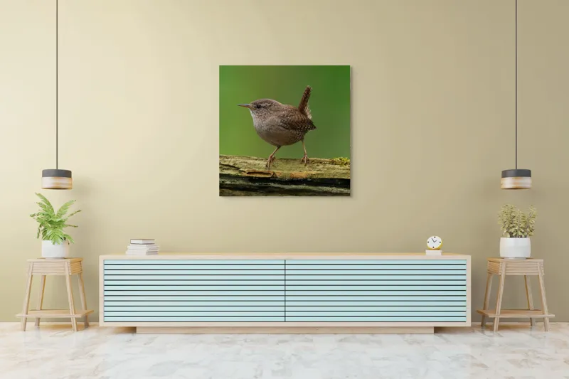 Tablou Canvas, "Micuta pasare pe crenguta verde", Pasăre, Creangă, Verdeață, Pene, Ochii, Cioc, Piciorușe, Coadă., 100 x 100 cm – poza 5