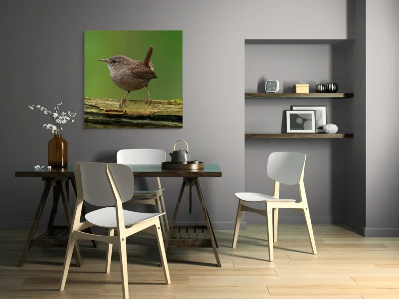 Tablou Canvas, "Micuta pasare pe crenguta verde", Pasăre, Creangă, Verdeață, Pene, Ochii, Cioc, Piciorușe, Coadă., 100 x 100 cm – poza 6