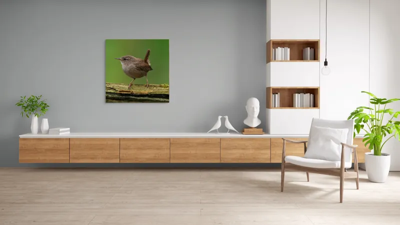 Tablou Canvas, "Micuta pasare pe crenguta verde", Pasăre, Creangă, Verdeață, Pene, Ochii, Cioc, Piciorușe, Coadă., 100 x 100 cm – poza 8