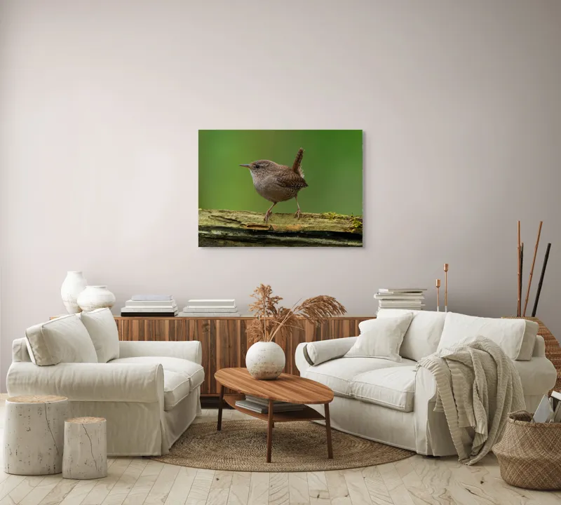 Tablou Canvas, "Micuta pasare pe crenguta verde", Pasăre, Creangă, Verdeață, Pene, Ochii, Cioc, Piciorușe, Coadă., 100 x 70 cm – poza 3