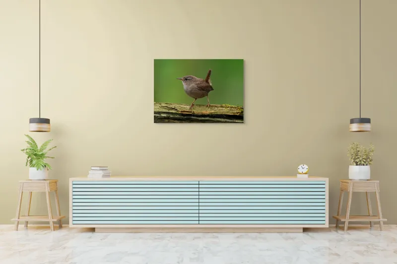 Tablou Canvas, "Micuta pasare pe crenguta verde", Pasăre, Creangă, Verdeață, Pene, Ochii, Cioc, Piciorușe, Coadă., 100 x 70 cm – poza 4