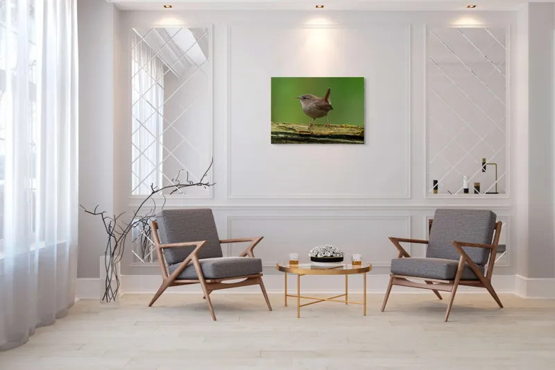 Tablou Canvas, "Micuta pasare pe crenguta verde", Pasăre, Creangă, Verdeață, Pene, Ochii, Cioc, Piciorușe, Coadă., 100 x 70 cm – poza 5