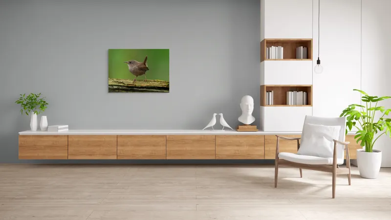 Tablou Canvas, "Micuta pasare pe crenguta verde", Pasăre, Creangă, Verdeață, Pene, Ochii, Cioc, Piciorușe, Coadă., 100 x 70 cm – poza 6