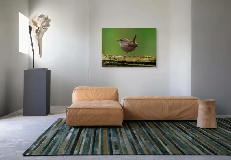 Tablou Canvas, "Micuta pasare pe crenguta verde", Pasăre, Creangă, Verdeață, Pene, Ochii, Cioc, Piciorușe, Coadă., 100 x 70 cm – poza 7
