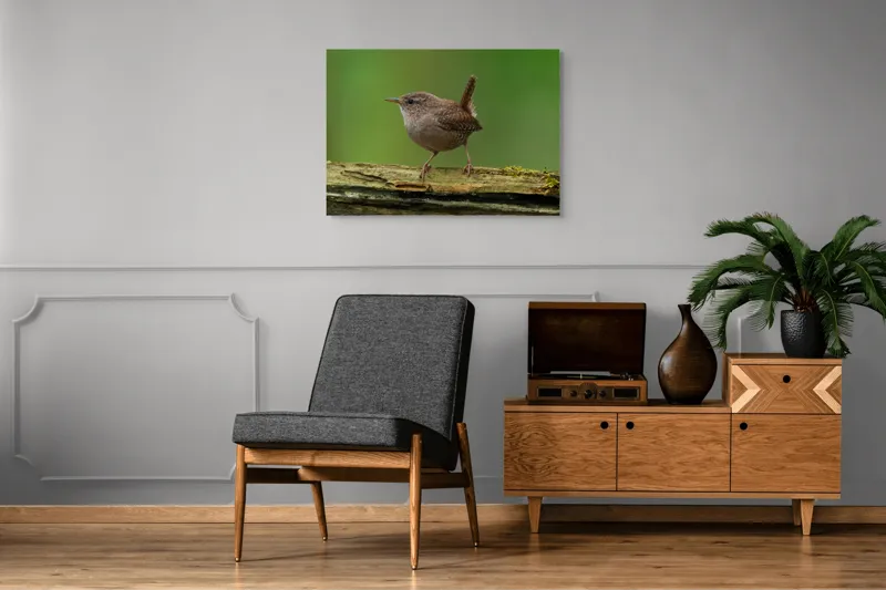 Tablou Canvas, "Micuta pasare pe crenguta verde", Pasăre, Creangă, Verdeață, Pene, Ochii, Cioc, Piciorușe, Coadă., 100 x 70 cm – poza 8