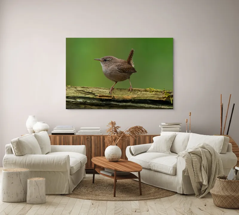 Tablou Canvas, "Micuta pasare pe crenguta verde", Pasăre, Creangă, Verdeață, Pene, Ochii, Cioc, Piciorușe, Coadă., 150 x 100 cm – poza 3