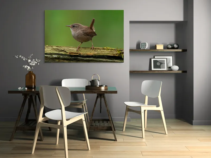 Tablou Canvas, "Micuta pasare pe crenguta verde", Pasăre, Creangă, Verdeață, Pene, Ochii, Cioc, Piciorușe, Coadă., 150 x 100 cm – poza 5