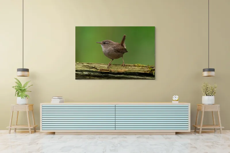 Tablou Canvas, "Micuta pasare pe crenguta verde", Pasăre, Creangă, Verdeață, Pene, Ochii, Cioc, Piciorușe, Coadă., 150 x 100 cm – poza 6