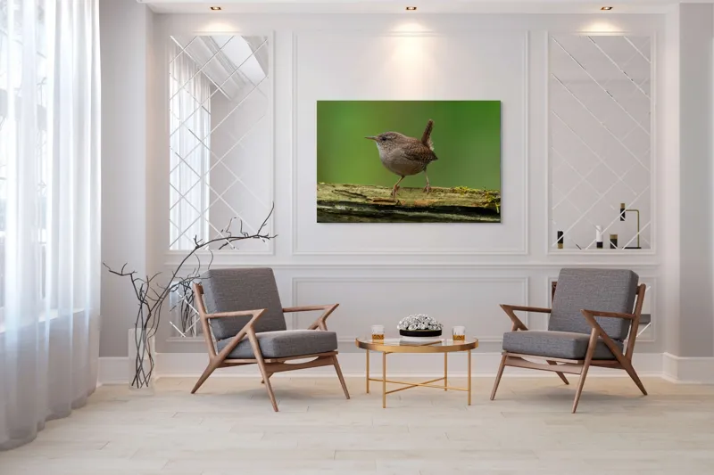 Tablou Canvas, "Micuta pasare pe crenguta verde", Pasăre, Creangă, Verdeață, Pene, Ochii, Cioc, Piciorușe, Coadă., 150 x 100 cm – poza 7