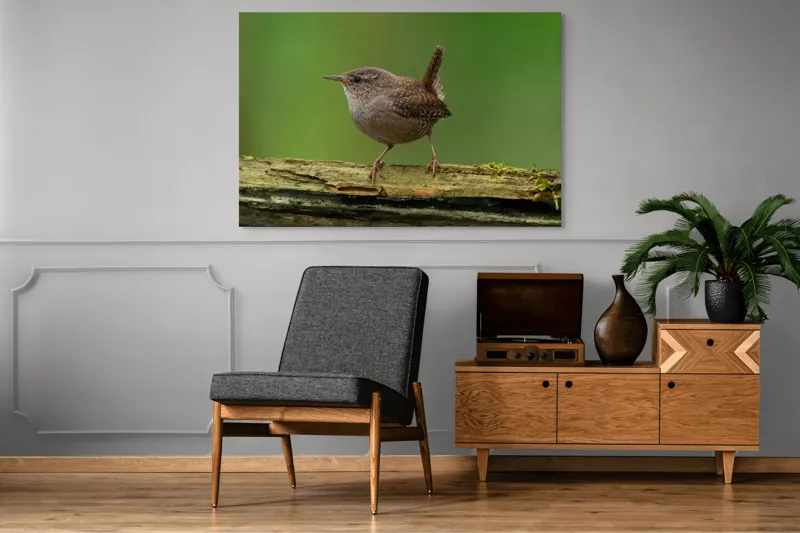 Tablou Canvas, "Micuta pasare pe crenguta verde", Pasăre, Creangă, Verdeață, Pene, Ochii, Cioc, Piciorușe, Coadă., 150 x 100 cm – poza 8