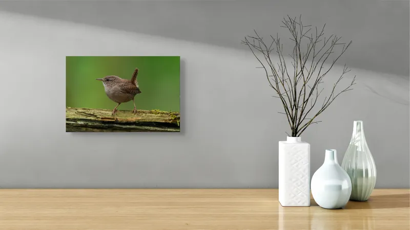 Tablou Canvas, "Micuta pasare pe crenguta verde", Pasăre, Creangă, Verdeață, Pene, Ochii, Cioc, Piciorușe, Coadă., 39 x 26 cm – poza 8